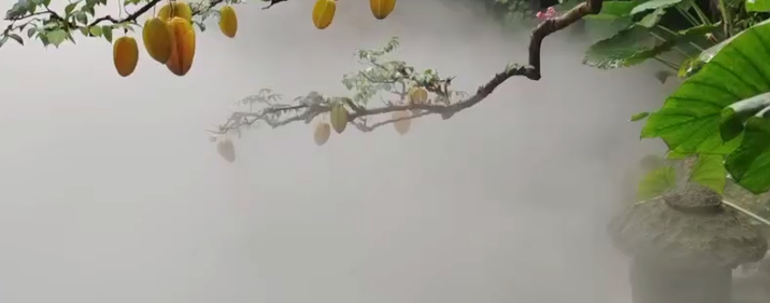 應(yīng)用視頻