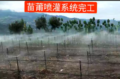 應(yīng)用視頻
