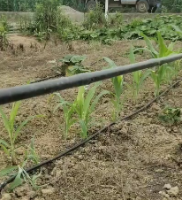 應用視頻