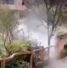 應用視頻