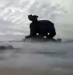 應用視頻